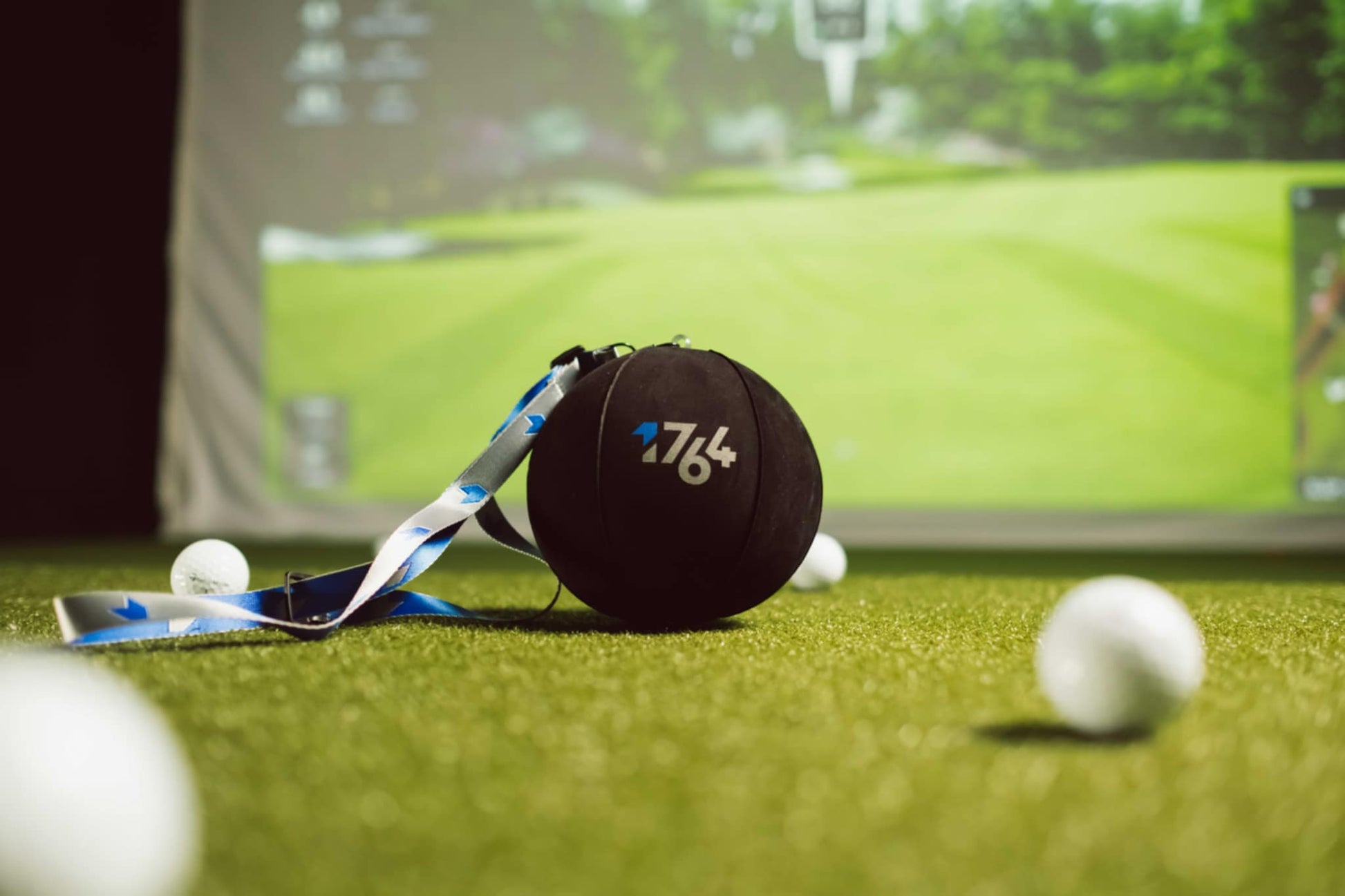 1764 Inflatable Training Ball – 1764 Golf